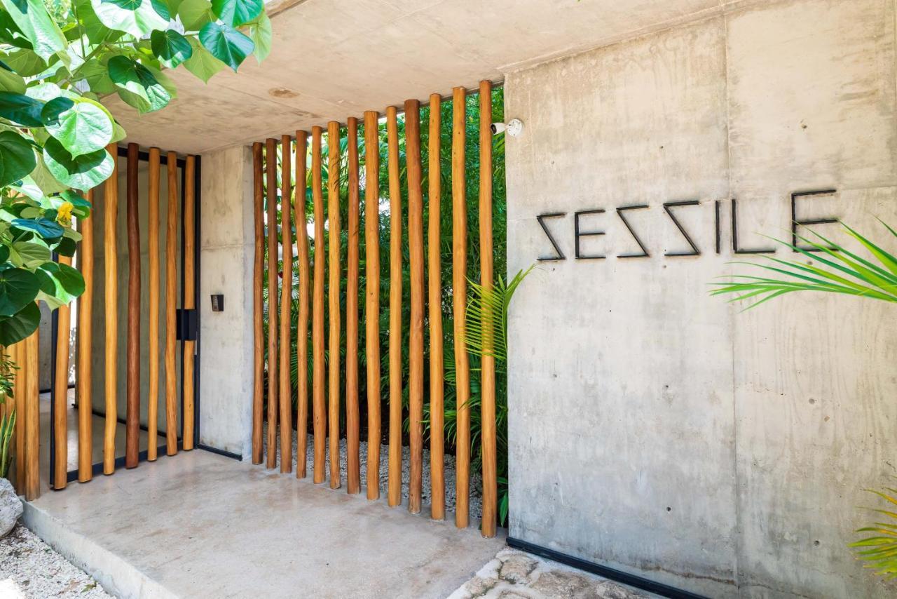 Luxury Apartament With Private Plunge Pool - Ground Floor Tulum Esterno foto
